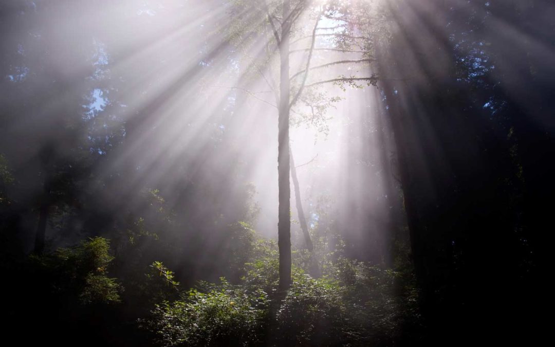 Anomaly Research Department (ARD)